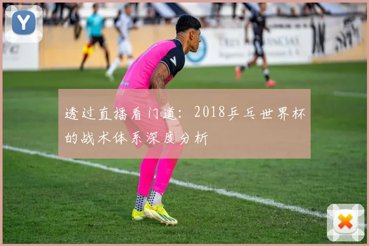 透过直播看门道：2018乒乓世界杯的战术体系深度分析