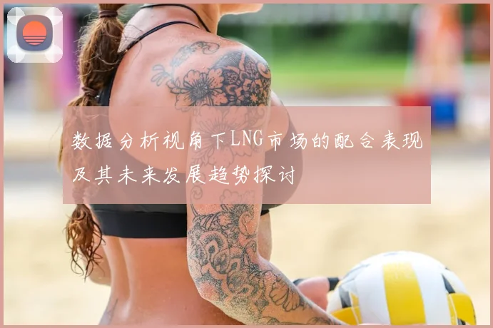 数据分析视角下LNG市场的配合表现及其未来发展趋势探讨