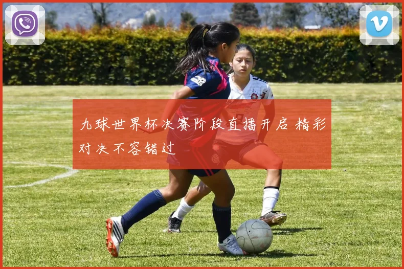 九球世界杯决赛阶段直播开启 精彩对决不容错过