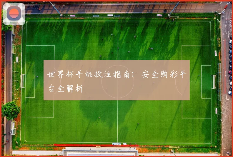 世界杯手机投注指南:安全购彩平台全解析