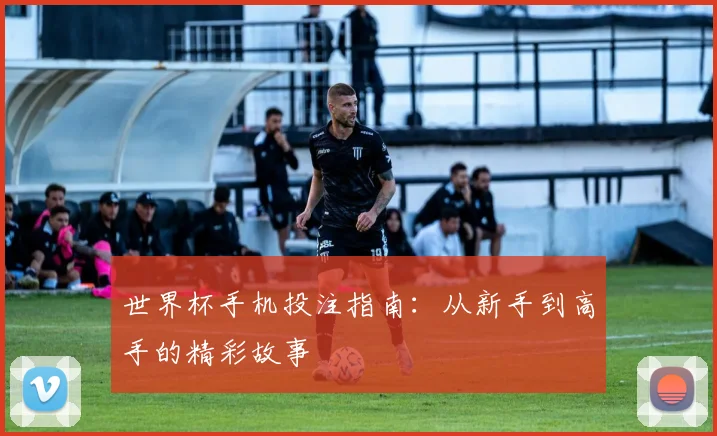 世界杯手机投注指南:从新手到高手的精彩故事