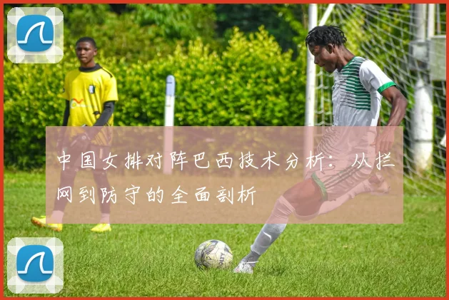 中国女排对阵巴西技术分析:从拦网到防守的全面剖析