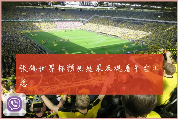 张路世界杯预测结果及观看平台汇总