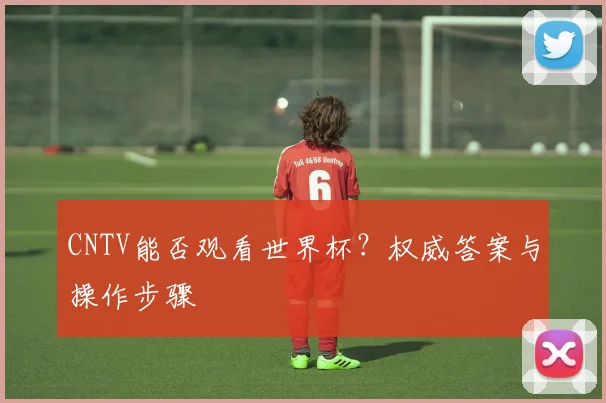 CNTV能否观看世界杯?权威答案与操作步骤