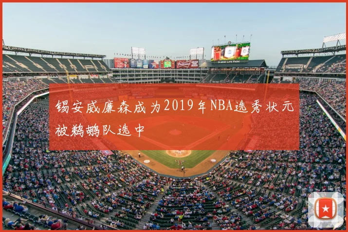 锡安威廉森成为2019年NBA选秀状元被鹈鹕队选中