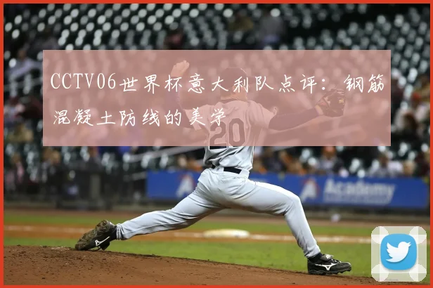 CCTV06世界杯意大利队点评:钢筋混凝土防线的美学