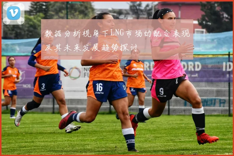 数据分析视角下LNG市场的配合表现及其未来发展趋势探讨