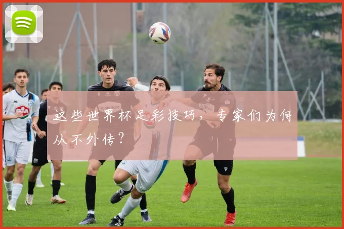 这些世界杯足彩技巧，专家们为何从不外传？