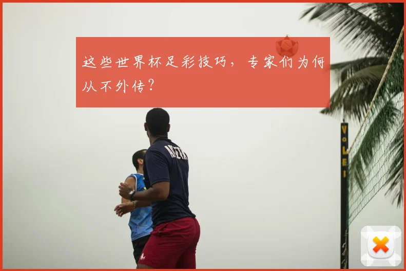 这些世界杯足彩技巧,专家们为何从不外传?
