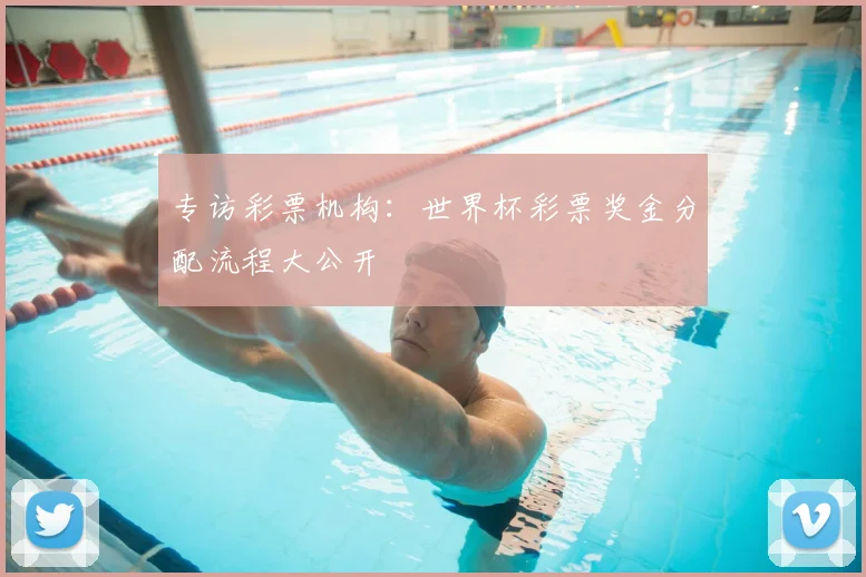 专访彩票机构:世界杯彩票奖金分配流程大公开