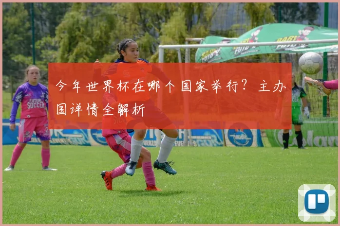 今年世界杯在哪个国家举行?主办国详情全解析