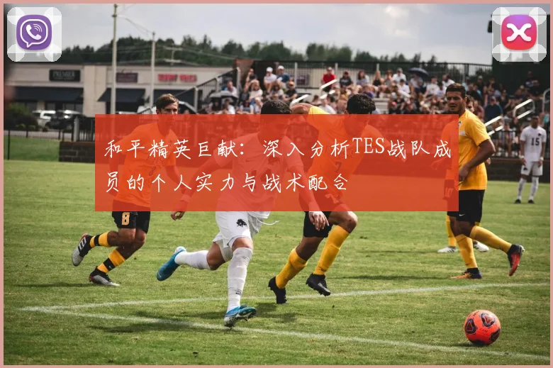 和平精英巨献:深入分析TES战队成员的个人实力与战术配合