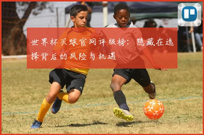 世界杯买球官网评级榜:隐藏在选择背后的风险与机遇