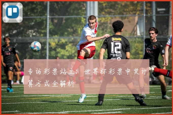 专访彩票站主：世界杯彩票中奖计算方式全解析