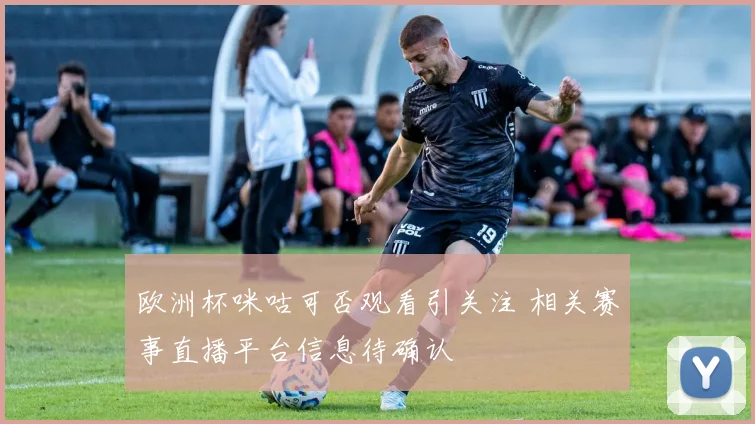 欧洲杯咪咕可否观看引关注 相关赛事直播平台信息待确认