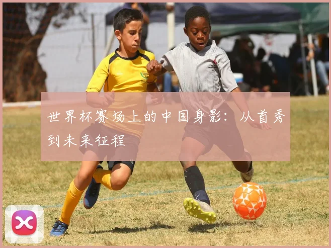世界杯赛场上的中国身影：从首秀到未来征程