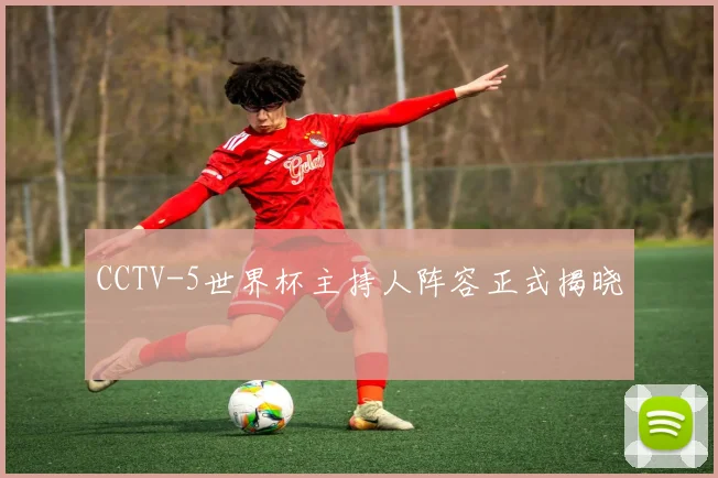 CCTV-5世界杯主持人阵容正式揭晓