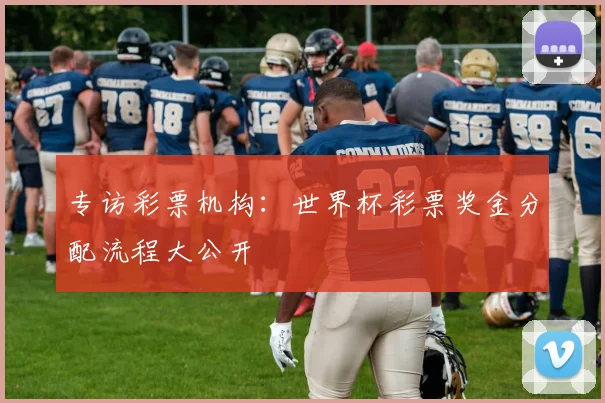专访彩票机构：世界杯彩票奖金分配流程大公开