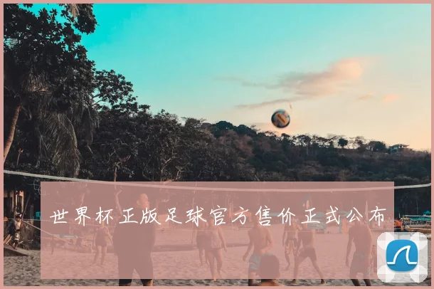 世界杯正版足球官方售价正式公布