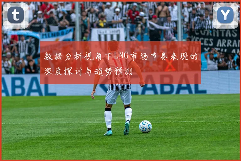 数据分析视角下LNG市场节奏表现的深度探讨与趋势预测