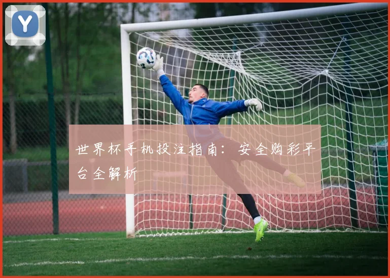 世界杯手机投注指南:安全购彩平台全解析