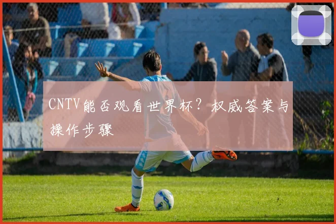 CNTV能否观看世界杯?权威答案与操作步骤